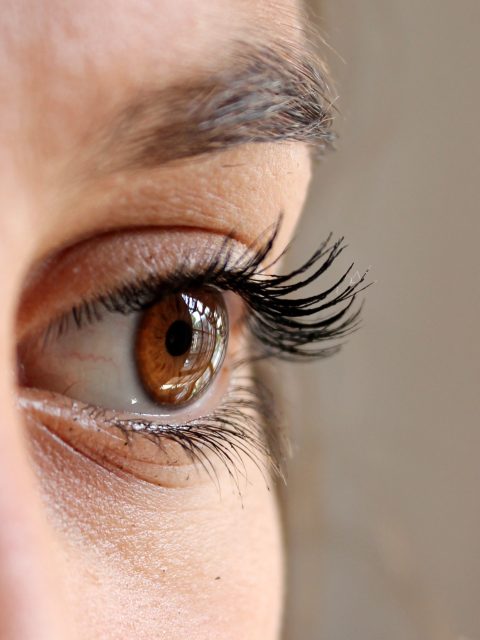 false eyelashes beauty