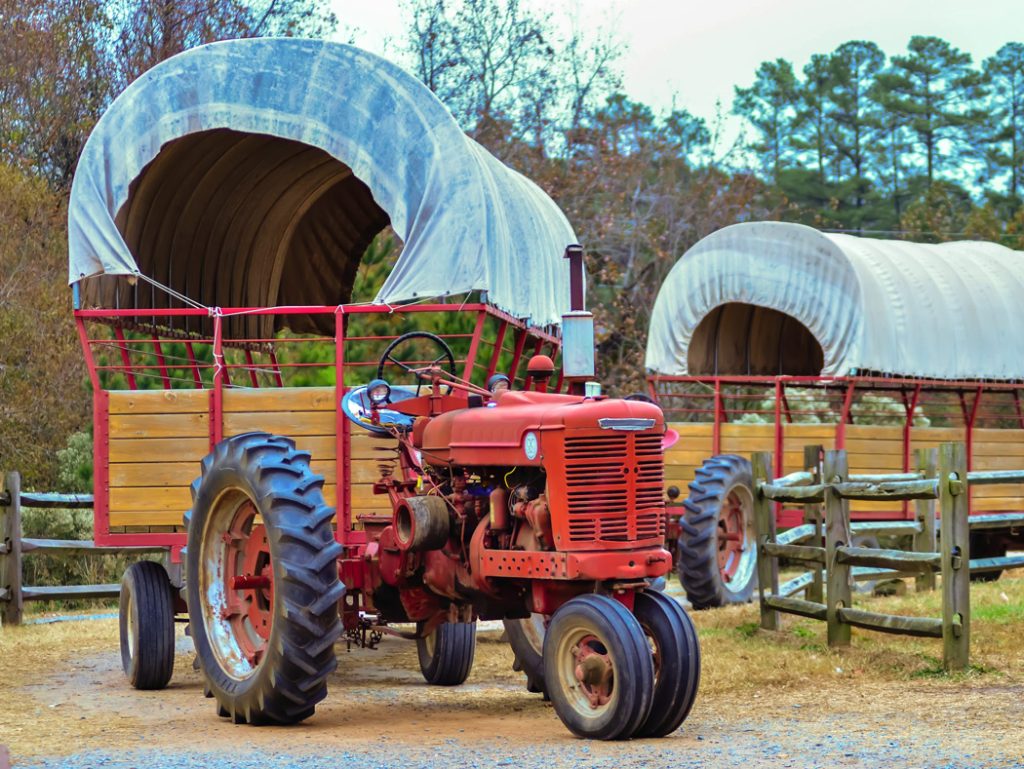 hayride stock photo